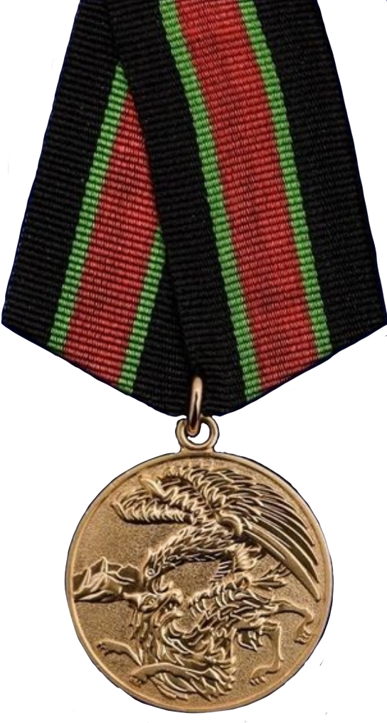 Медаль участник контртеррористической операции